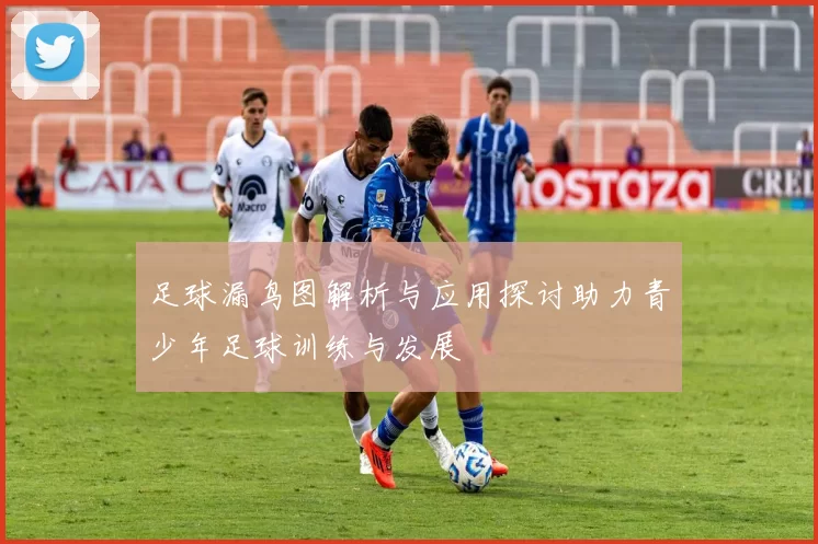 足球漏鸟图解析与应用探讨助力青少年足球训练与发展