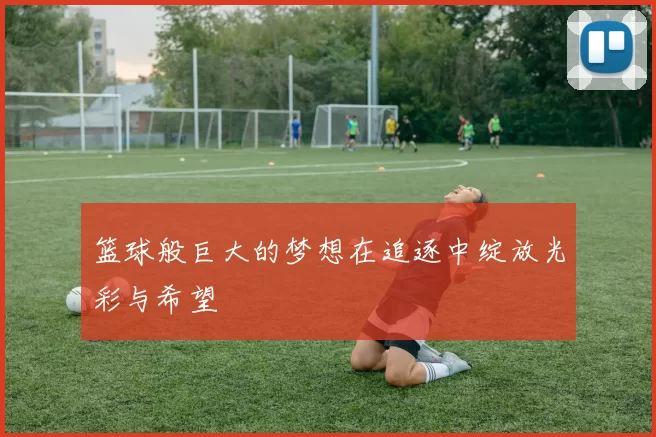 篮球般巨大的梦想在追逐中绽放光彩与希望