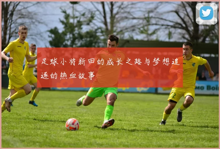 足球小将新田的成长之路与梦想追逐的热血故事