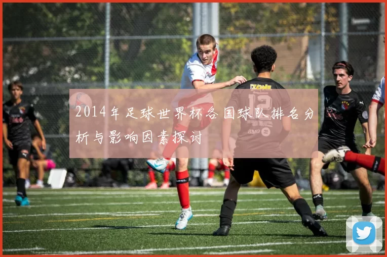 2014年足球世界杯各国球队排名分析与影响因素探讨