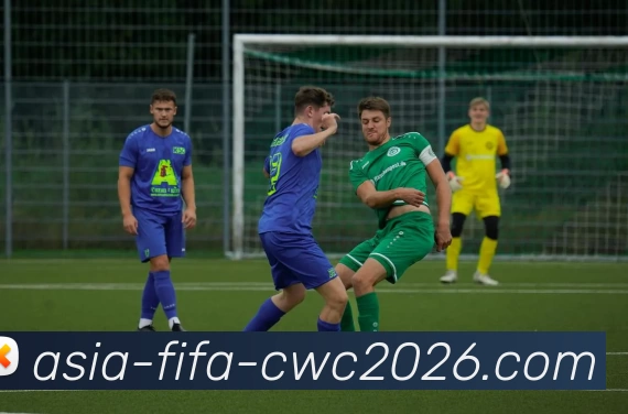 2026世界杯平台生态图